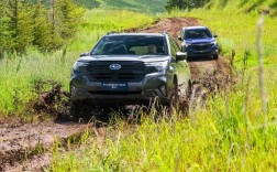 森林人第三代对比第四代(三代森林人代号)