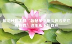 辅助开挂工具“智慧星德州菠萝透视底牌软件”通用版下载教程