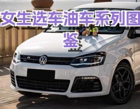 大众最建议买的三个车,大众最建议买的三个车型