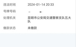122133违章查询(违章查询网站122)