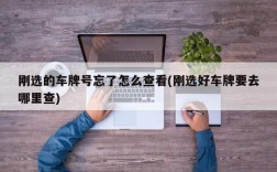 刚选的车牌号忘了怎么查看(刚选好车牌要去哪里查)