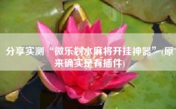 分享实测“微乐划水麻将开挂神器”(原来确实是有插件)