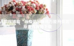 教程辅助“海南微乐麻将万能开挂器”原来有神器下载