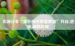 实测分享“德扑圈作弊看牌器”开挂(透视)辅助教程