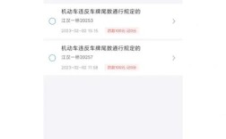武汉江汉桥单双号限行规则／武汉江汉桥单双号限行规则处罚