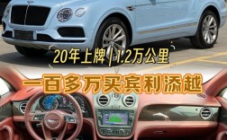年收入200万能买宾利吗(年收入100万买宾利)