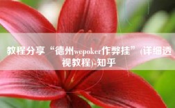 教程分享“德州wepoker作弊挂”(详细透视教程)-知乎