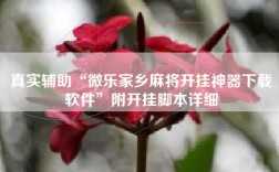 真实辅助“微乐家乡麻将开挂神器下载软件”附开挂脚本详细