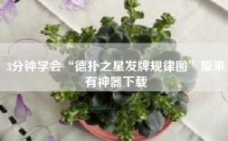 3分钟学会“德扑之星发牌规律图”原来有神器下载