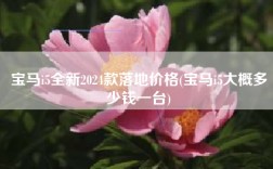 宝马i5全新2024款落地价格(宝马i5大概多少钱一台)