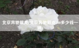 北京奔驰戴克(北京奔驰戴克300多少钱一辆)