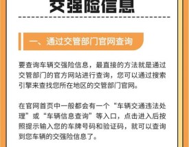 北京车辆违章查询直接输入车牌号(北京车牌违章车辆查询app)