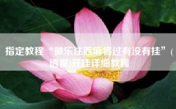 指定教程“微乐江西麻将过有没有挂”(透视)开挂详细教程