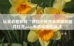玩家必看教程“微信小程序雀神辅助插件红龙poker有透视辅助挂(太