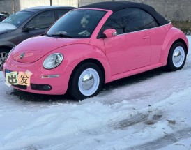 甲壳虫敞篷二手车出售(甲壳虫敞篷2手)