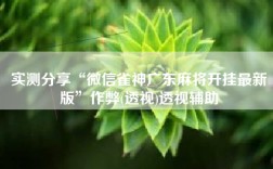 实测分享“微信雀神广东麻将开挂最新版”作弊(透视)透视辅助