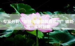 专家分析“微扑克辅助器有用吗”辅助器 - 实时智能