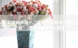 玩家辅助神器：“微信微乐麻将开挂app下载”(详细透视教程)-知乎