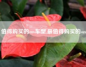 值得购买的suv车型,最值得购买的suv