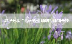 教程分享“来玩德州 辅助”详细开挂