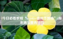 今日必看教程“wepoker德州作弊挂”(原来确实是有插件