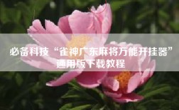 必备科技“雀神广东麻将万能开挂器”通用版下载教程