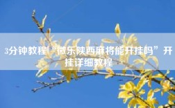 3分钟教程“微乐陕西麻将能开挂吗”开挂详细教程