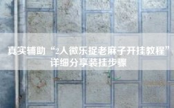 真实辅助“2人微乐捉老麻子开挂教程”详细分享装挂步骤