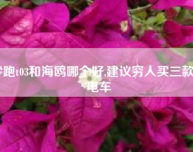 零跑t03和海鸥哪个好,建议穷人买三款纯电车