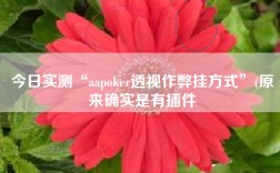 今日实测“aapoker透视作弊挂方式”(原来确实是有插件