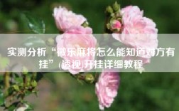 实测分析“微乐麻将怎么能知道对方有挂”(透视)开挂详细教程