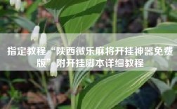 指定教程“陕西微乐麻将开挂神器免费版”附开挂脚本详细教程