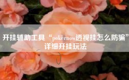 开挂辅助工具“pokernow透视挂怎么防骗”详细开挂玩法