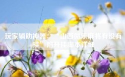 玩家辅助神器：“山西微乐麻将有没有挂”附开挂脚本详细
