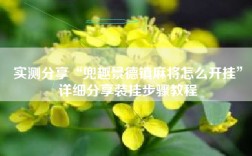 实测分享“兜趣景德镇麻将怎么开挂”详细分享装挂步骤教程