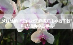 教程辅助“云南微乐麻将开挂神器下载”科技辅助神器手机