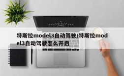 特斯拉model3自动驾驶/特斯拉model3自动驾驶怎么开启