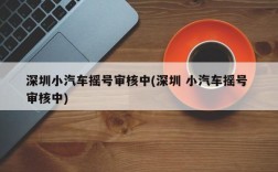 深圳小汽车摇号审核中(深圳 小汽车摇号 审核中)