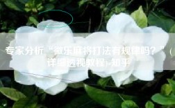 专家分析“微乐麻将打法有规律吗？”(详细透视教程)-知乎