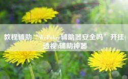 教程辅助“WePoker辅助器安全吗”开挂(透视)辅助神器
