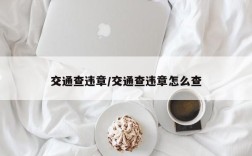 交通查违章/交通查违章怎么查