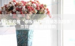 玩家必搜“微乐麻将一直输怎么回事”作弊(透视)透视辅助