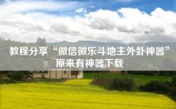 教程分享“微信微乐斗地主外卦神器”原来有神器下载