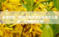 必看教程“微信小程序微乐麻将怎么能赢”开挂辅助详细