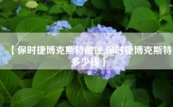 【保时捷博克斯特敞篷,保时捷博克斯特多少钱】