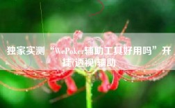 独家实测“WePoker辅助工具好用吗”开挂(透视)辅助