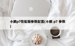 小鹏p7性能版参数配置(小鹏 p7 参数)