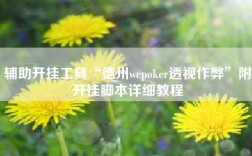 辅助开挂工具“德州wepoker透视作弊”附开挂脚本详细教程
