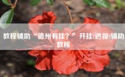 教程辅助“德州有挂？”开挂(透视)辅助教程