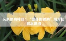 玩家辅助神器：“德扑圈辅助”附开挂脚本详细